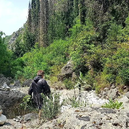 Kardamili Beach Hotel 3* 카르다밀리